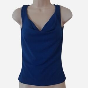 Royal Blue Cowl Cleavage Top
